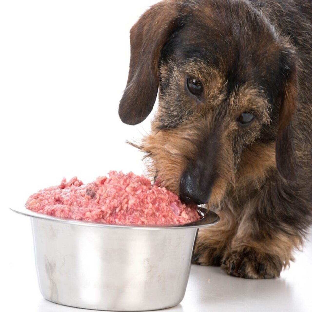 Free delivery of Raw and cooked foods for your healthy pets in canberra.